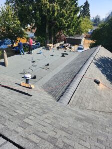 grayroof