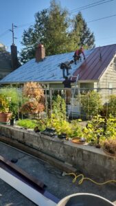 metalroof